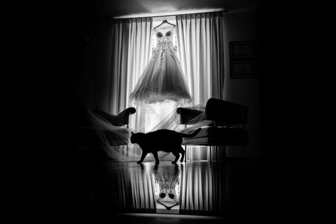 foto matrimonio